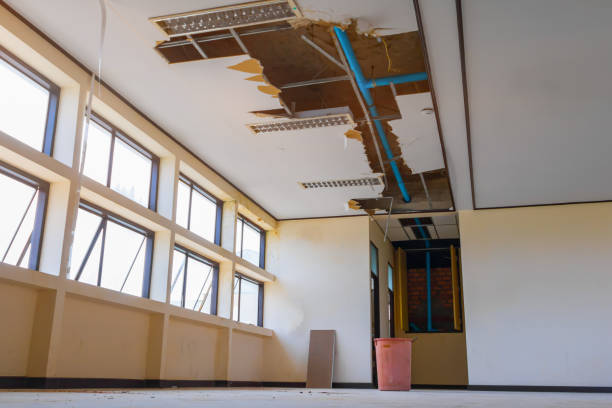 Best Water damage restoration near me  in Ozark, MO