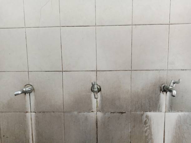 Best Water damage restoration process  in Ozark, MO