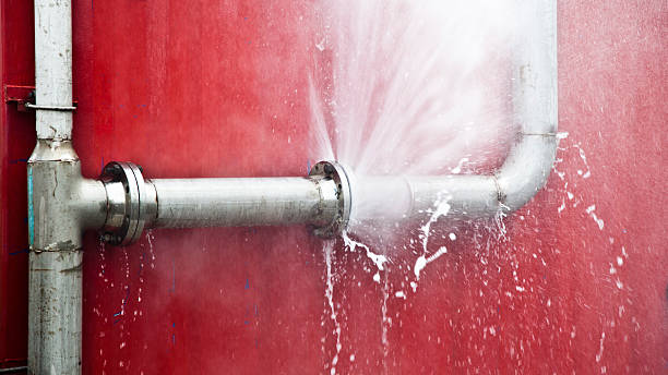 Best Water damage restoration mold remediation  in Ozark, MO